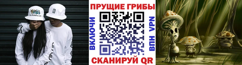 Псилоцибиновые грибы Psilocybe Велиж