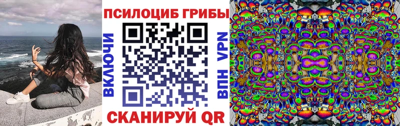 где можно купить наркотик Велиж Галлюциногенные грибы ЛСД